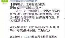 贺少最新爆料,揭秘娱乐圈背后的惊人真相！