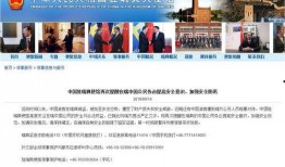 新疆旅游最新爆料视频,绝美风光与独特文化的视觉盛宴