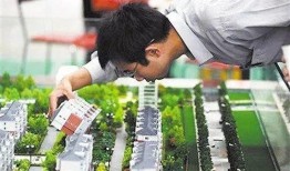 深圳买房大妈最新爆料,揭秘楼市新动向与投资秘诀