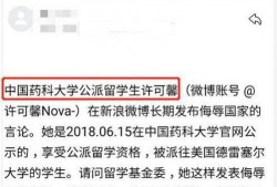 留学生爆料网站大全最新,揭秘海外留学生活背后的真实故事