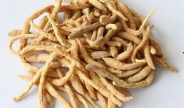 新瓜最新爆料炒河粉,炒河粉背后的惊人真相